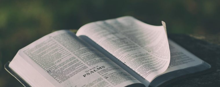 bqg进阶设置界面，展示章节预缓存、TTS朗读、书源权重排序等隐藏功能选项